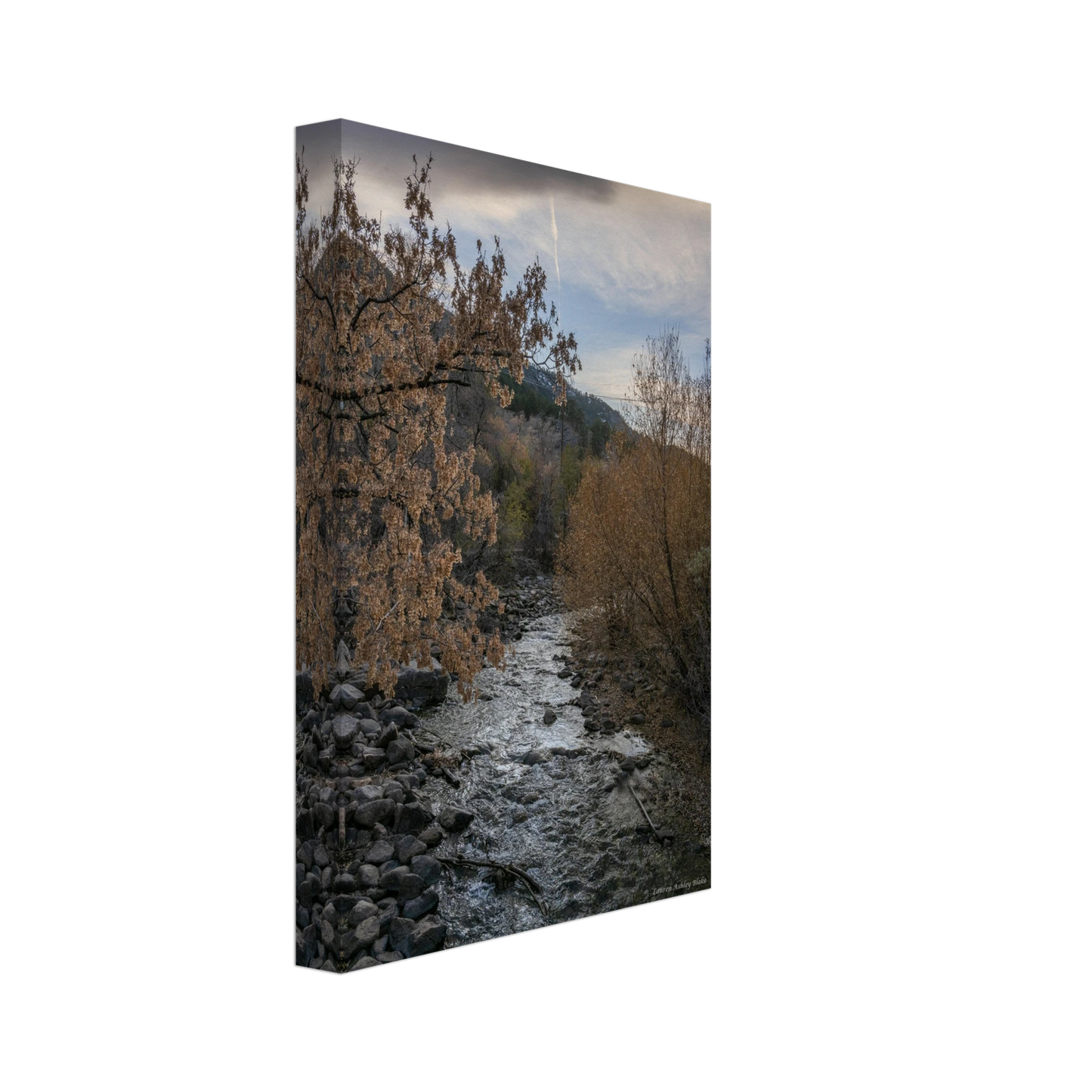 001755b5-ff2a-4f32-995b-99ce636bbe62