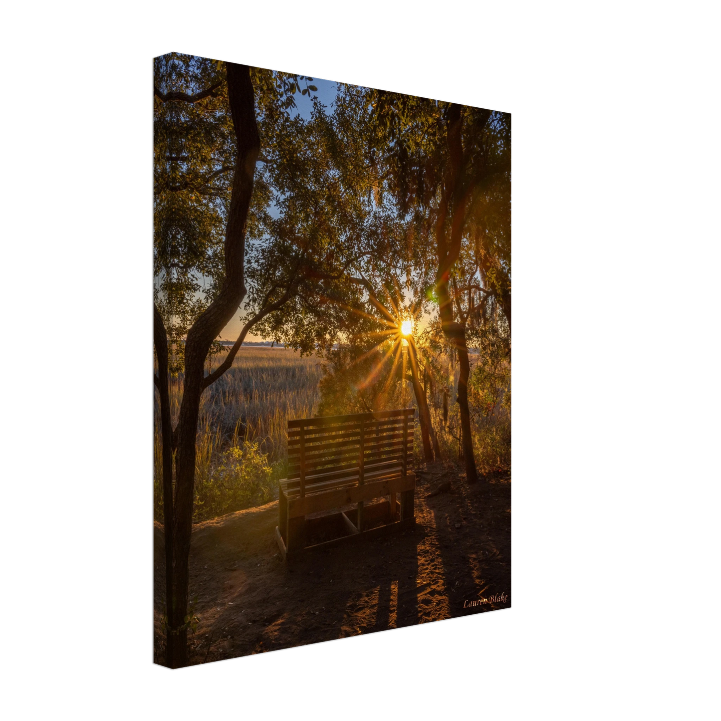 3ed7e43d-9b20-4eee-b9a9-6b1b3c2b4ce3