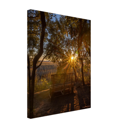 3ed7e43d-9b20-4eee-b9a9-6b1b3c2b4ce3