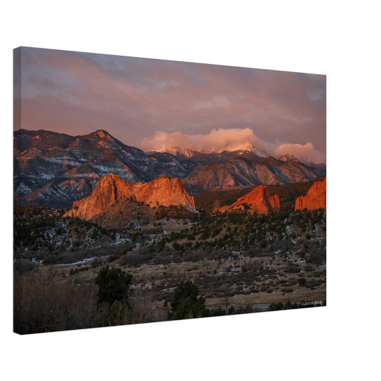 42aaee1c-5760-4f15-81be-b139318b533c