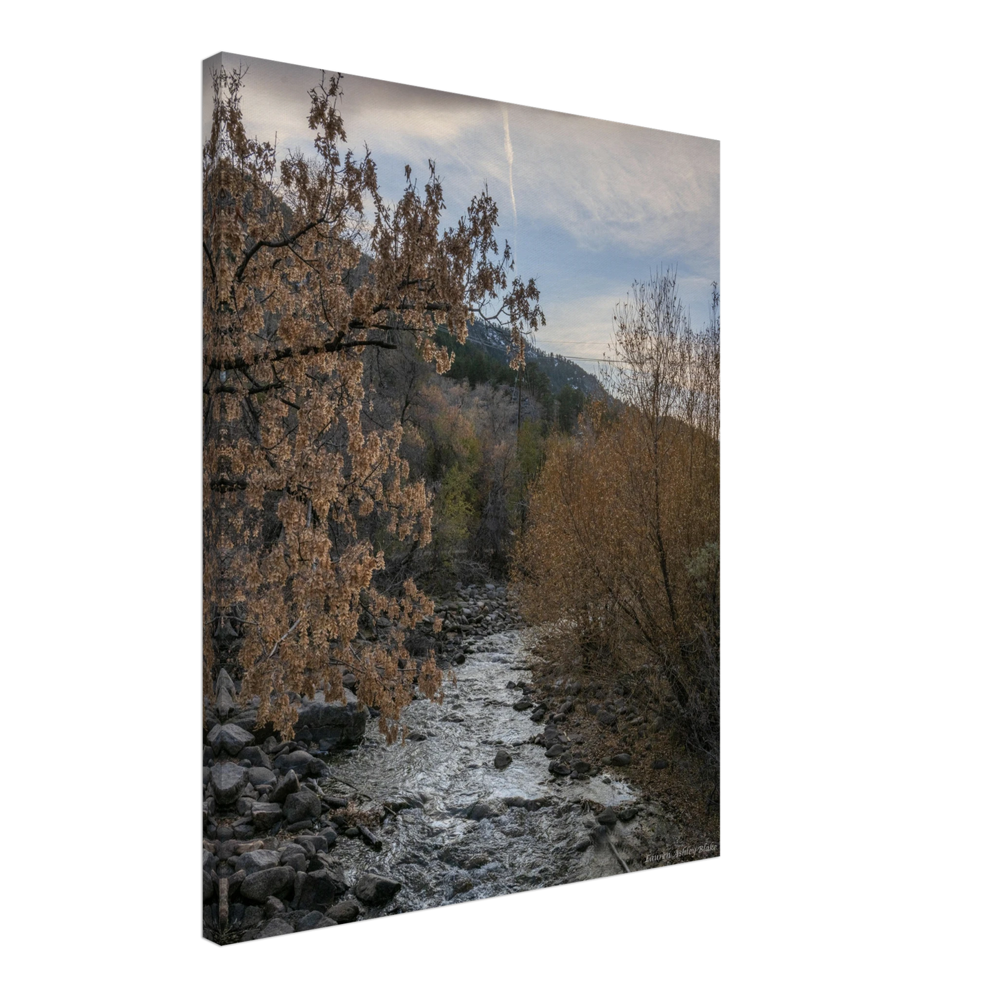 85ef60d2-eca4-44af-9e6d-897ef04e2d76