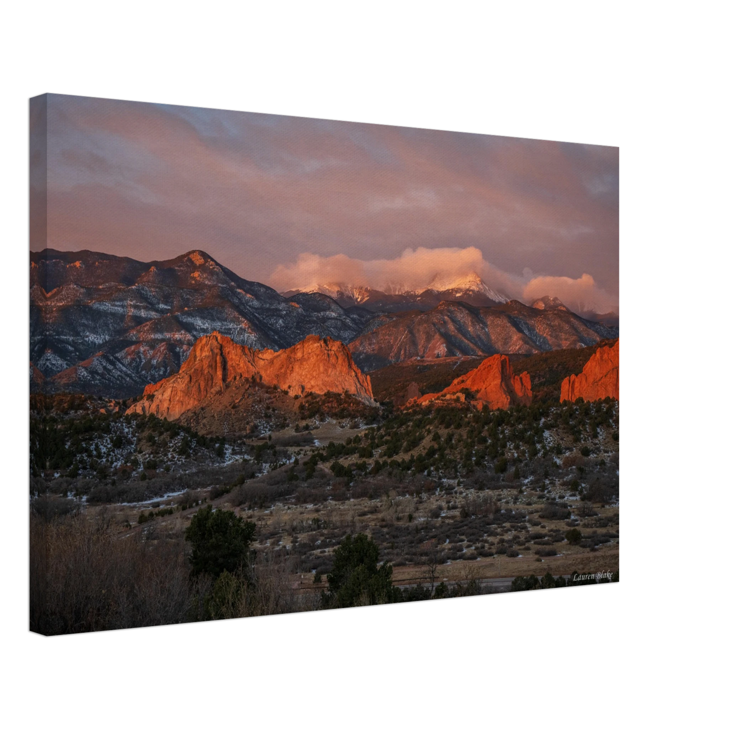 8be7c6b6-f823-4e49-9608-daa17189c479