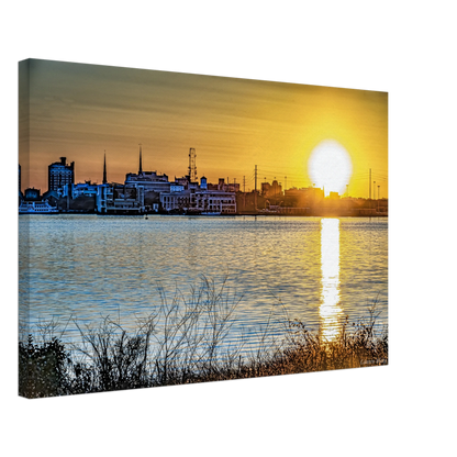 95557143-21e1-4a8b-a5d8-78e65c11819e