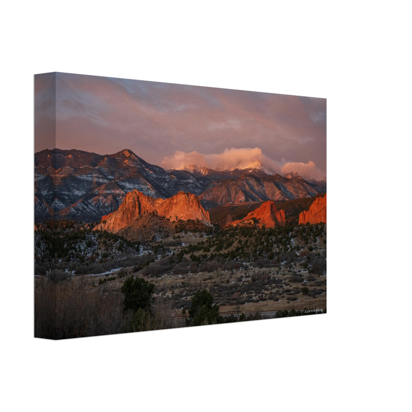 9cc46cee-71b8-4281-a3fd-3d7594918742