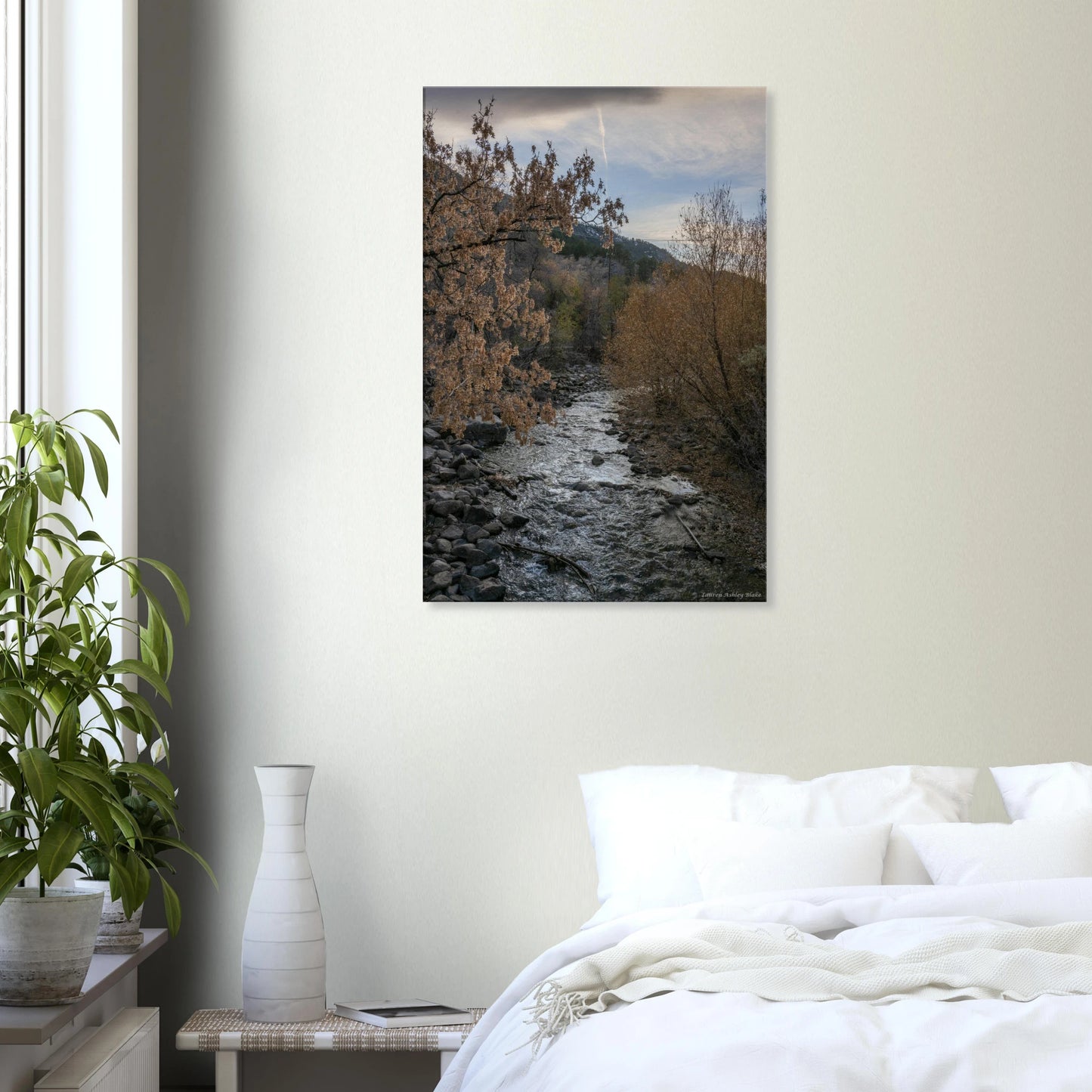 c2dae48f-d4ed-45f6-82ac-c471085f7824