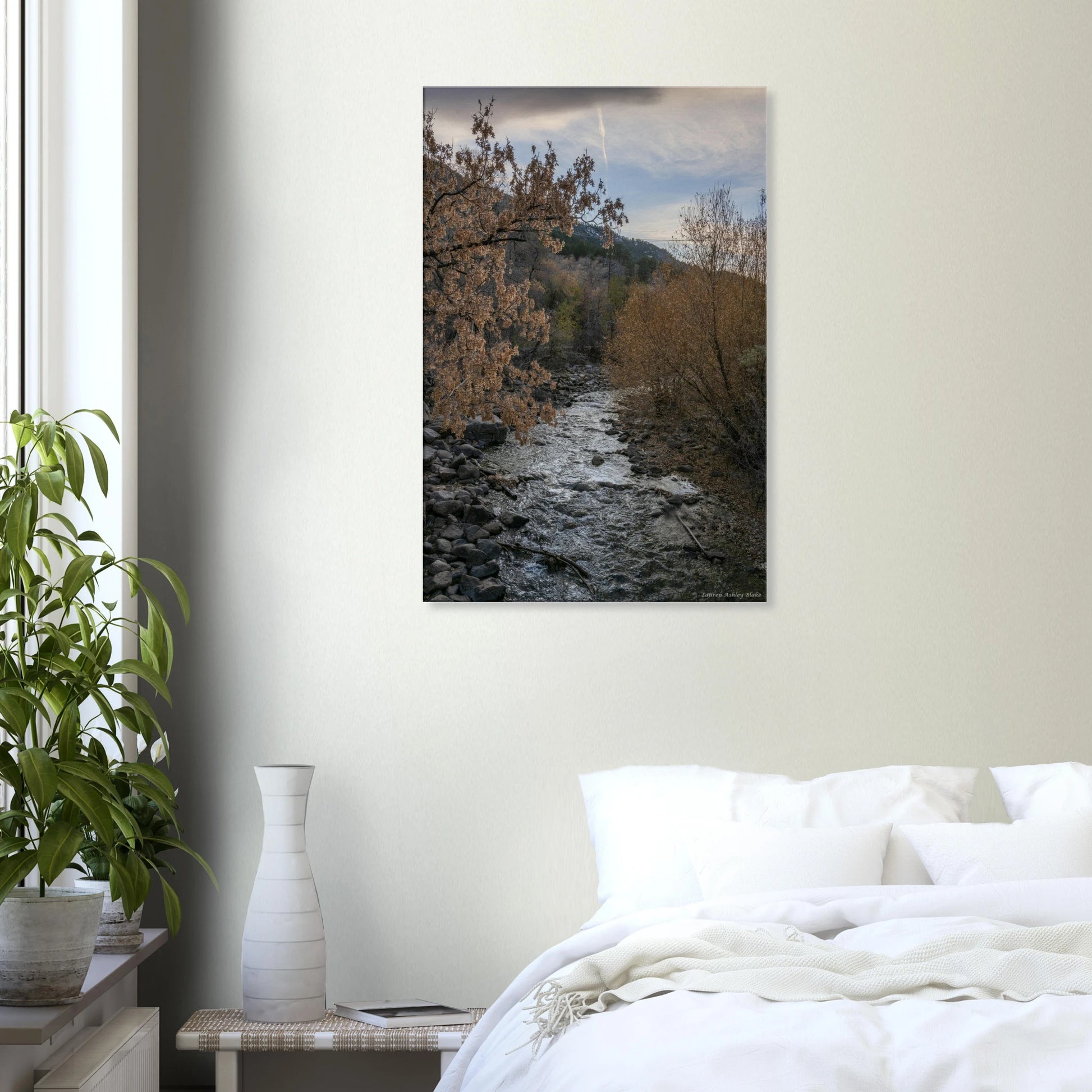 c2dae48f-d4ed-45f6-82ac-c471085f7824