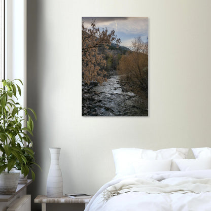 c2dae48f-d4ed-45f6-82ac-c471085f7824