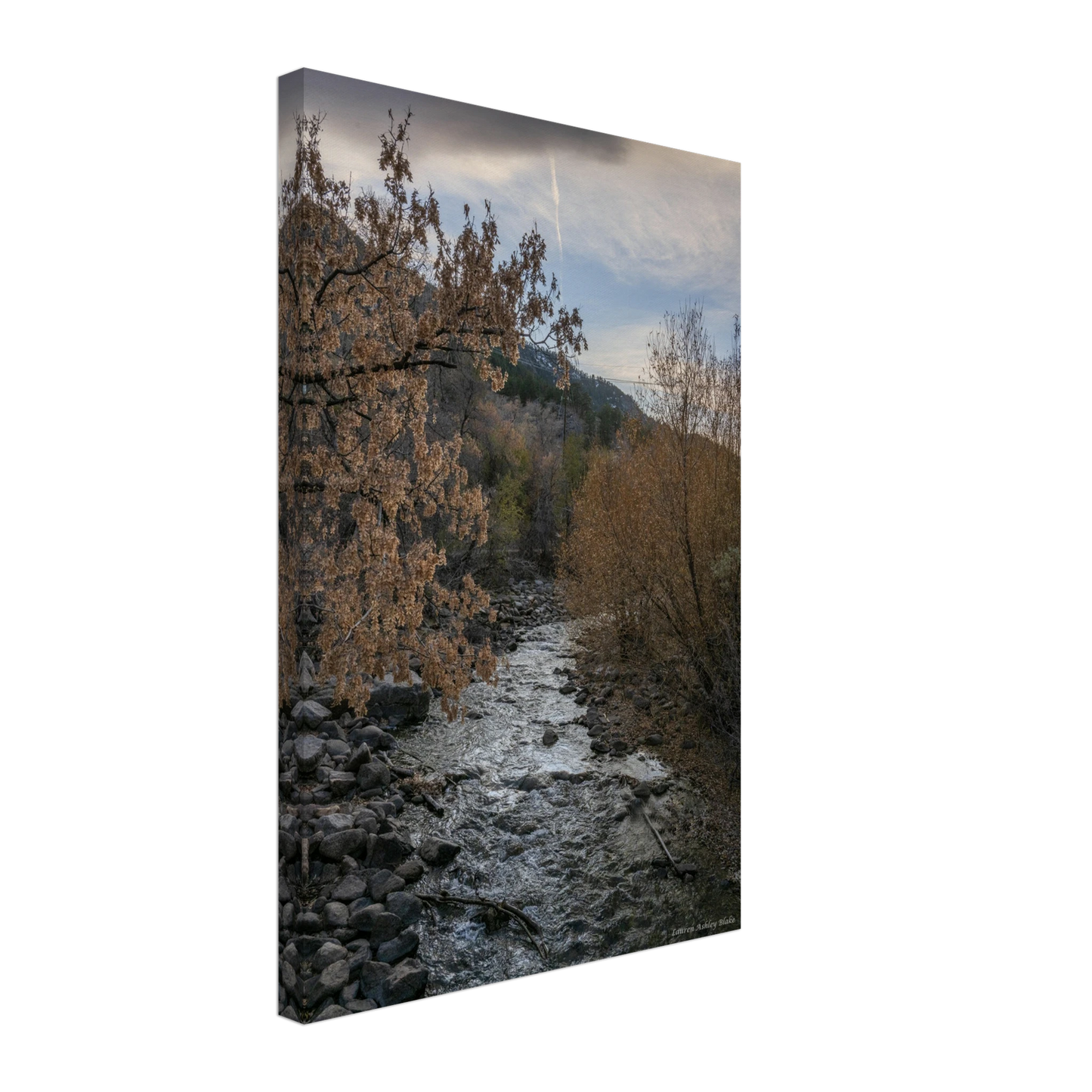 c3b2342f-81da-4cb8-8d1d-8378c8734ba8