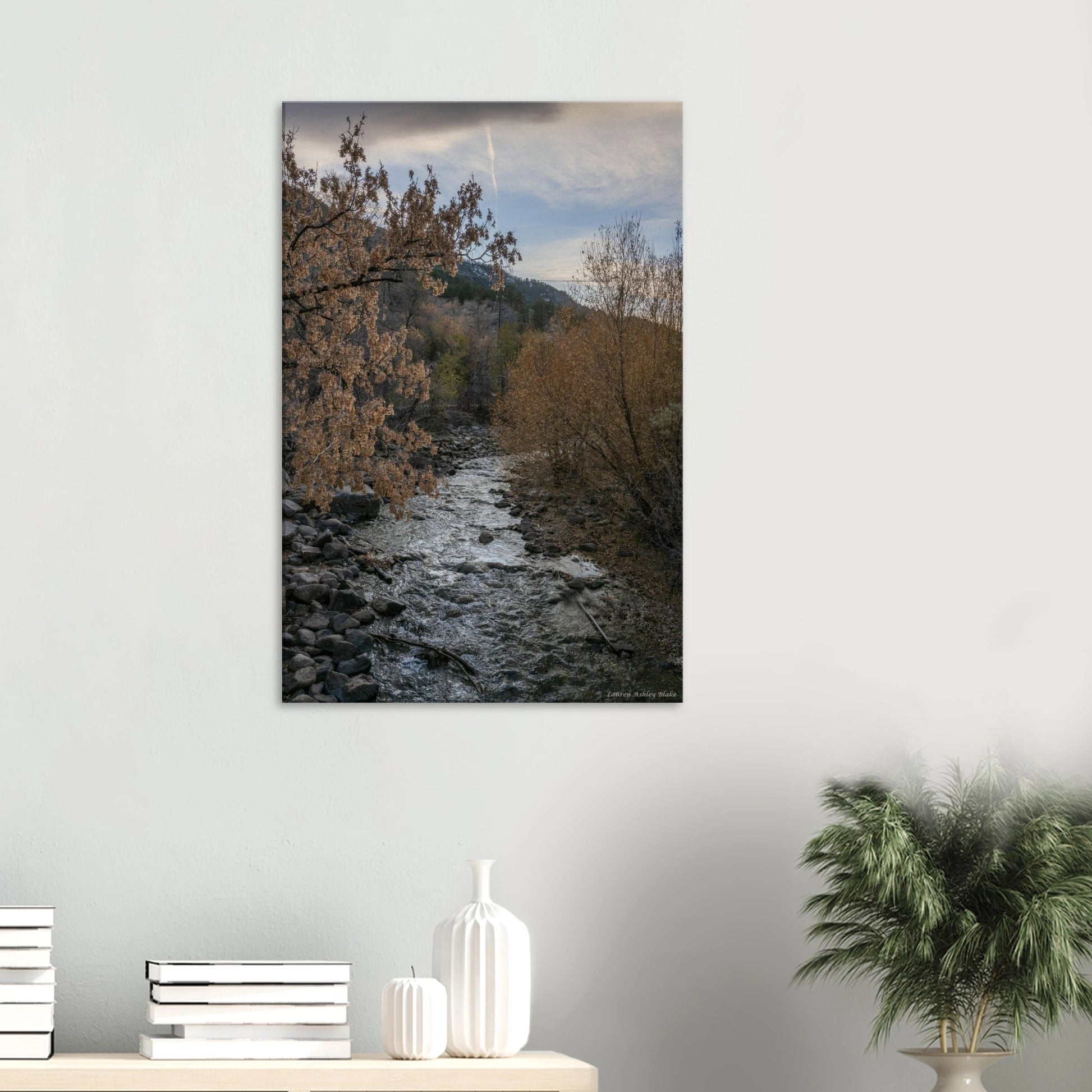 c57a9098-4328-47e5-9a52-c709ff663cc2