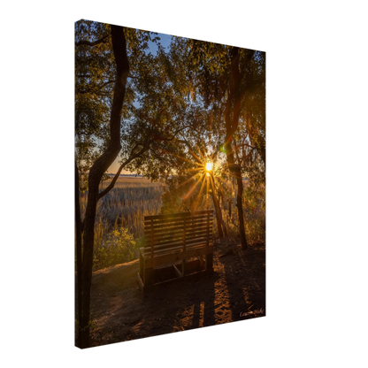 cc49cc77-3810-46fd-866b-e1fcc1e1d509