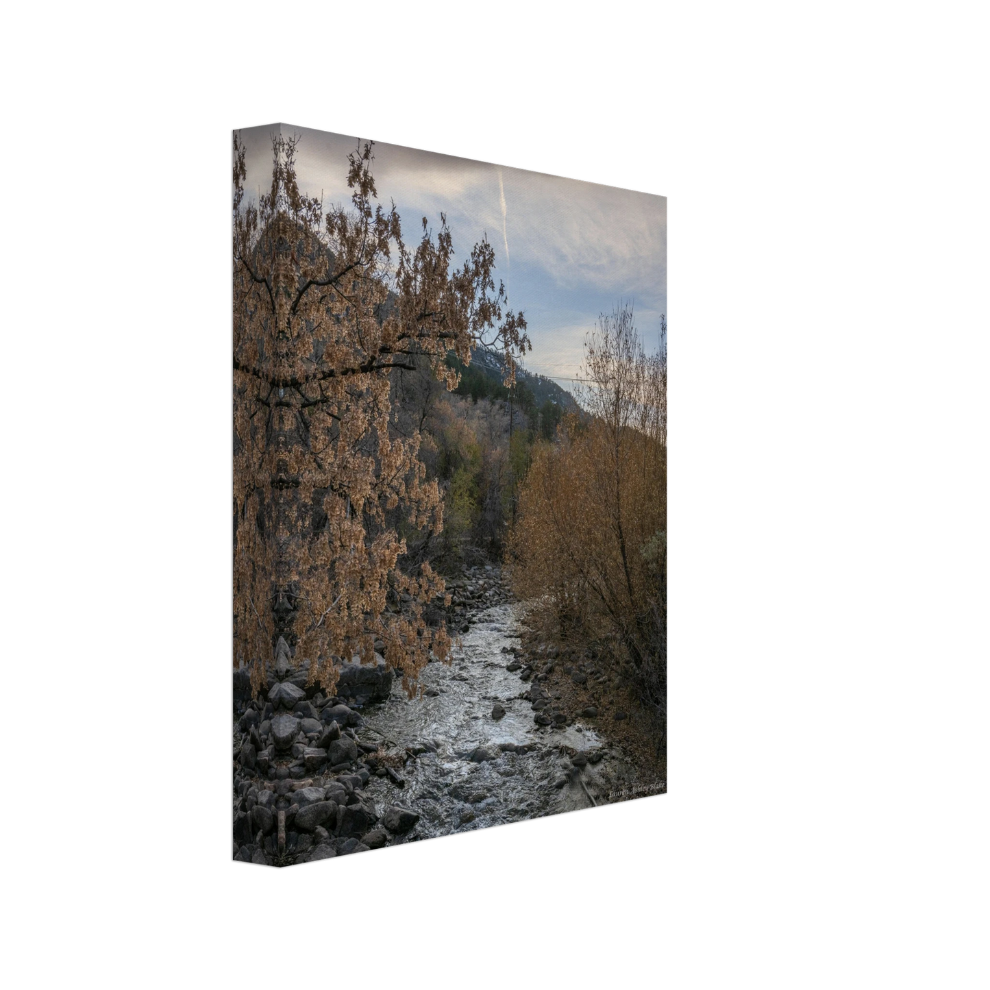 d3e2a5ef-aeff-46ae-8e72-8ab89f12e7b9