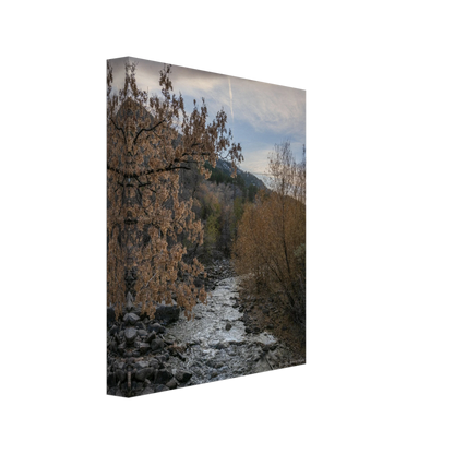 d3e2a5ef-aeff-46ae-8e72-8ab89f12e7b9