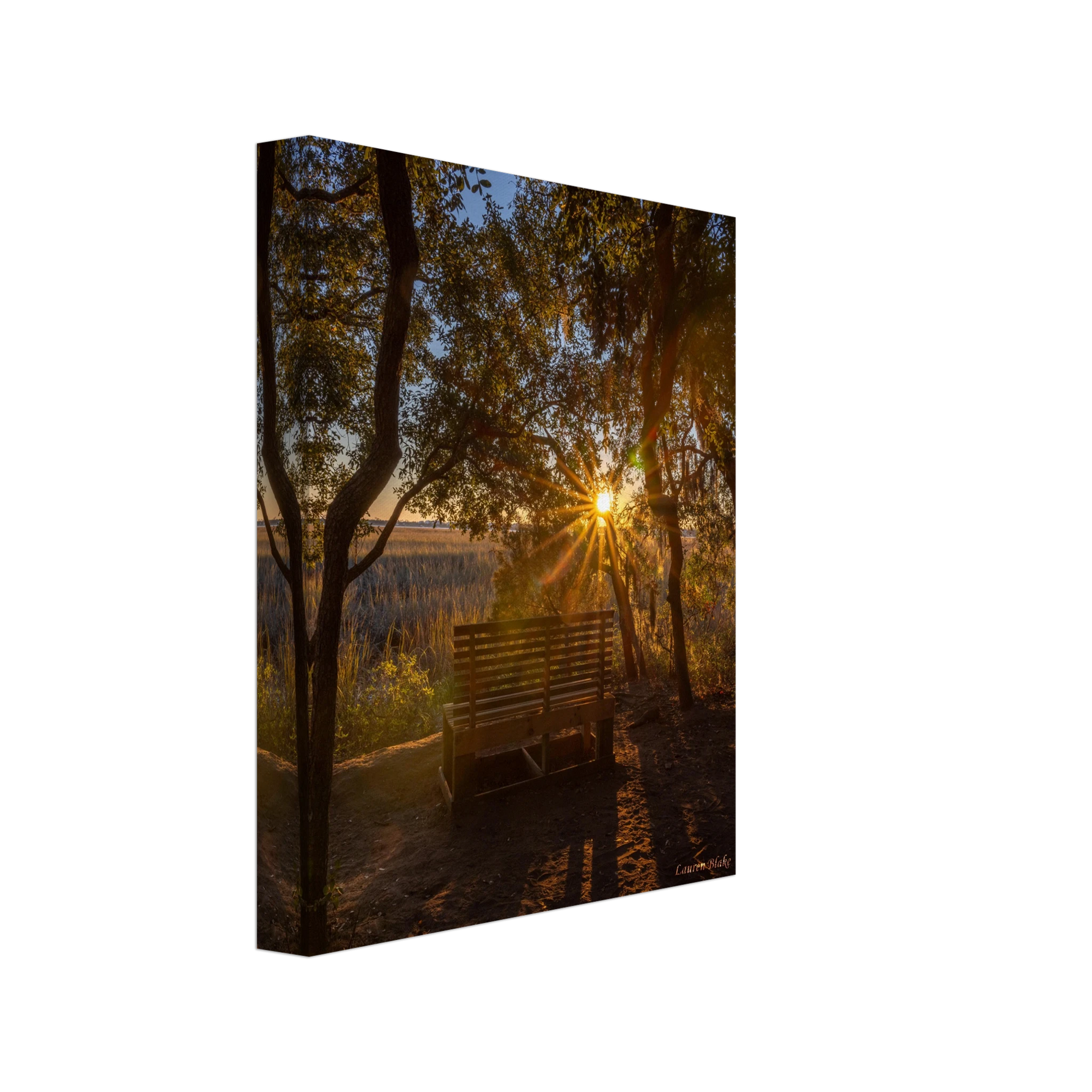 db5b0ef9-7adf-4630-b7ec-35c99c136d9f