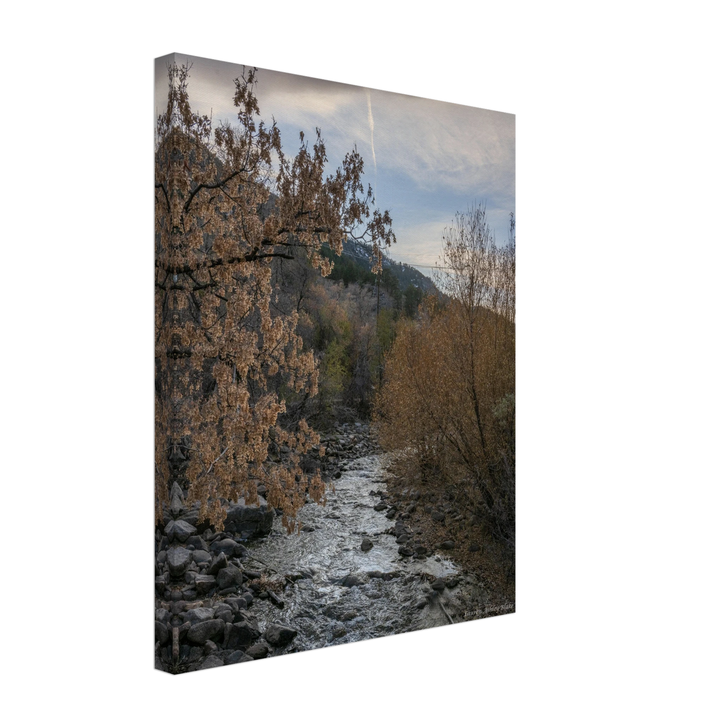 ef0b4854-371c-42b9-b7ab-f2876fc84c24