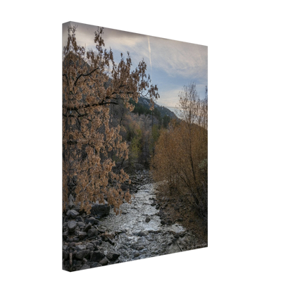 ef0b4854-371c-42b9-b7ab-f2876fc84c24